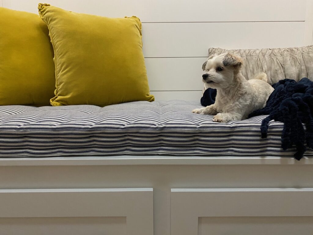 White maltipoo laying on a striped blue/white cushion in a white dropzone with pillows and a blanket.