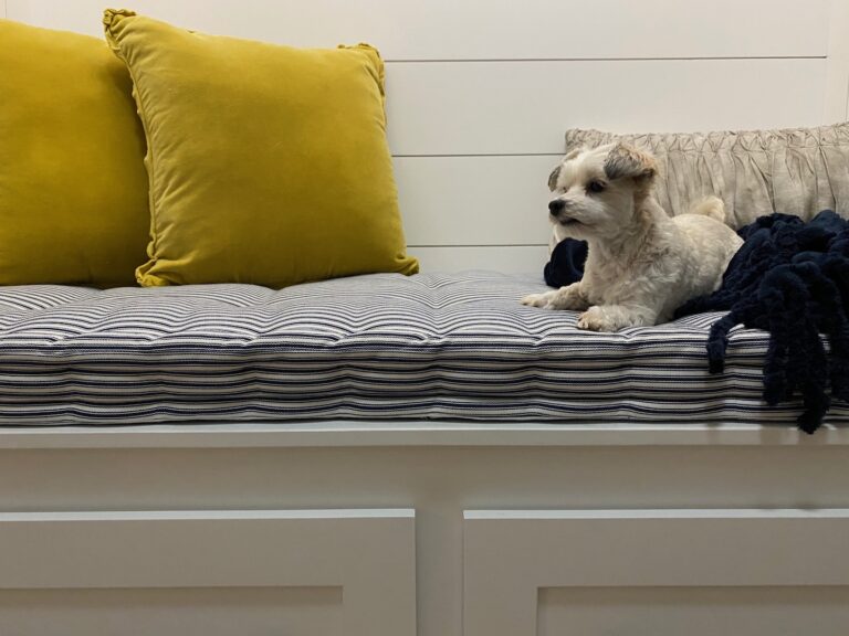 Chloe, a white maltipoo, enjoying the built-in custom drop zone.